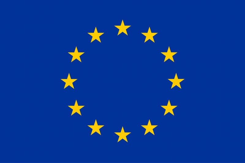 Euflag Logo